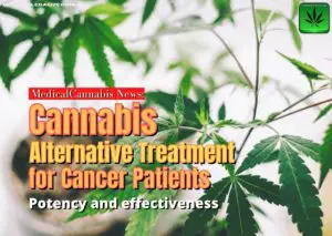 Cannabis Alternative Treatment for Cancer, medical, marijuana, weed, pot
