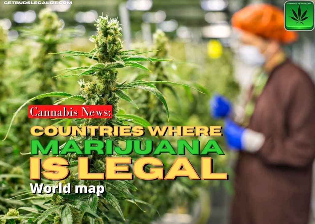 Countries Where Marijuana Is Legal, world map, cannabis, weed, pot