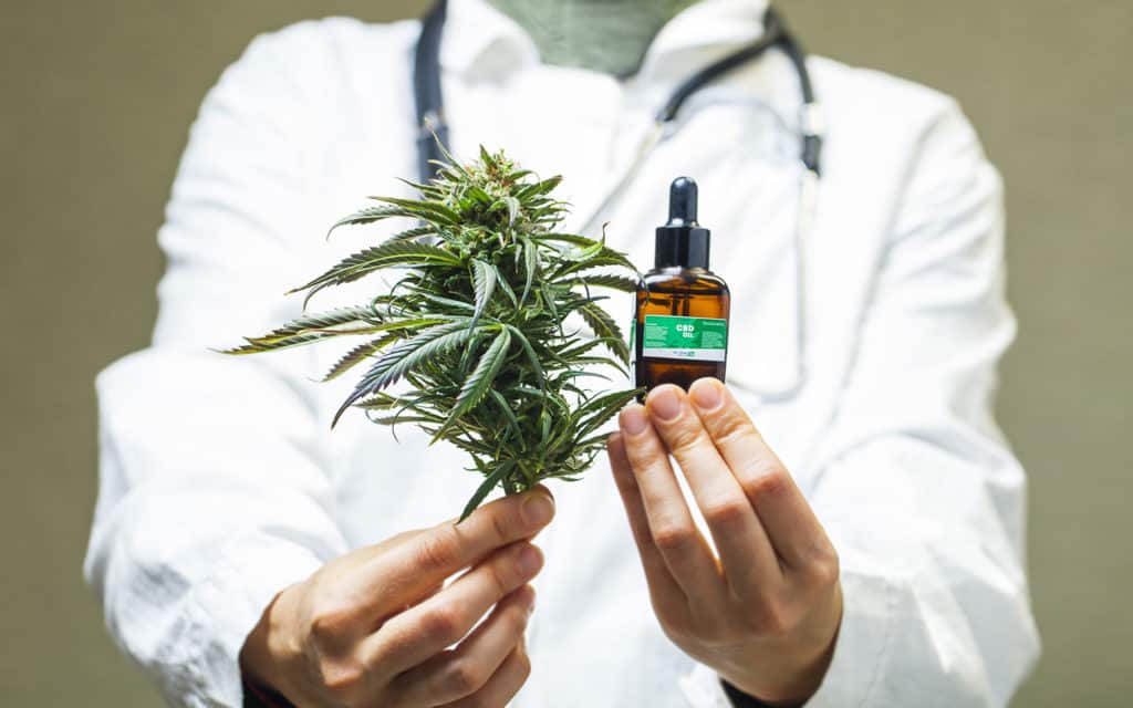 Pathologies prescription and cannabis for medical use, marijuana, weed, pot