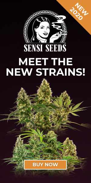 sensi seeds promotion, cannabis, marijuana, weed, pot