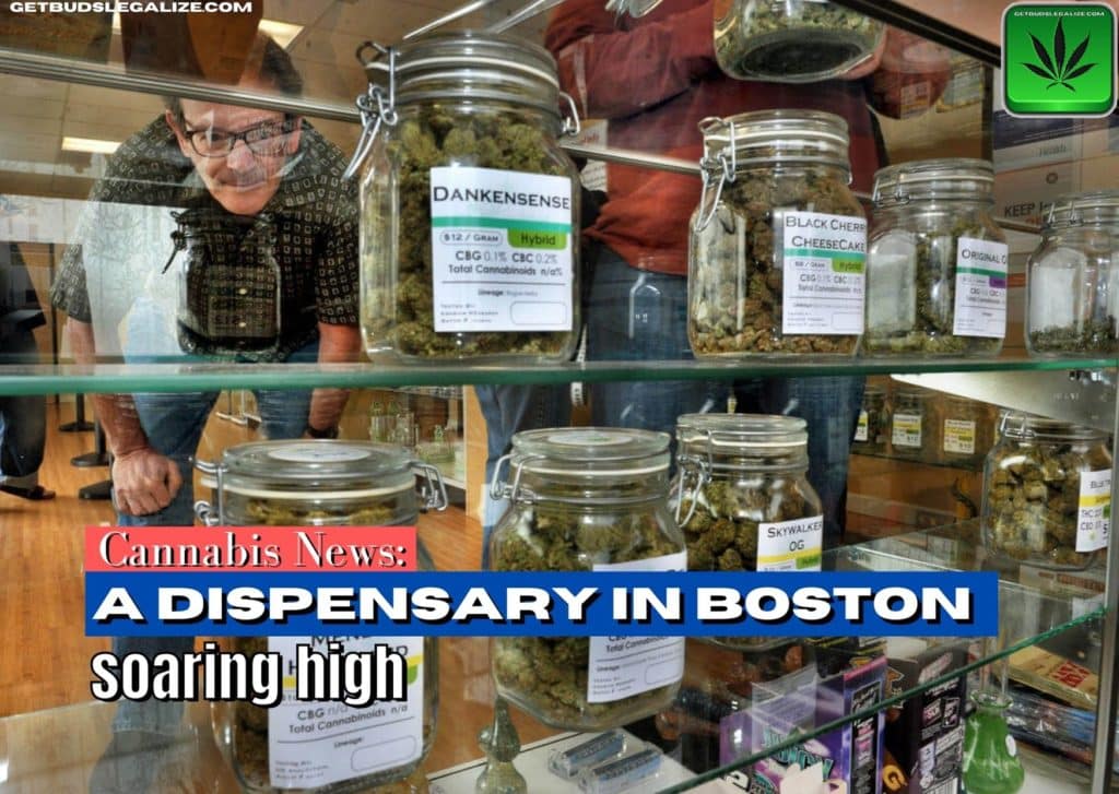 A dispensary in Boston soaring high, cannabis news, marijuana, weed, pot, dispensary