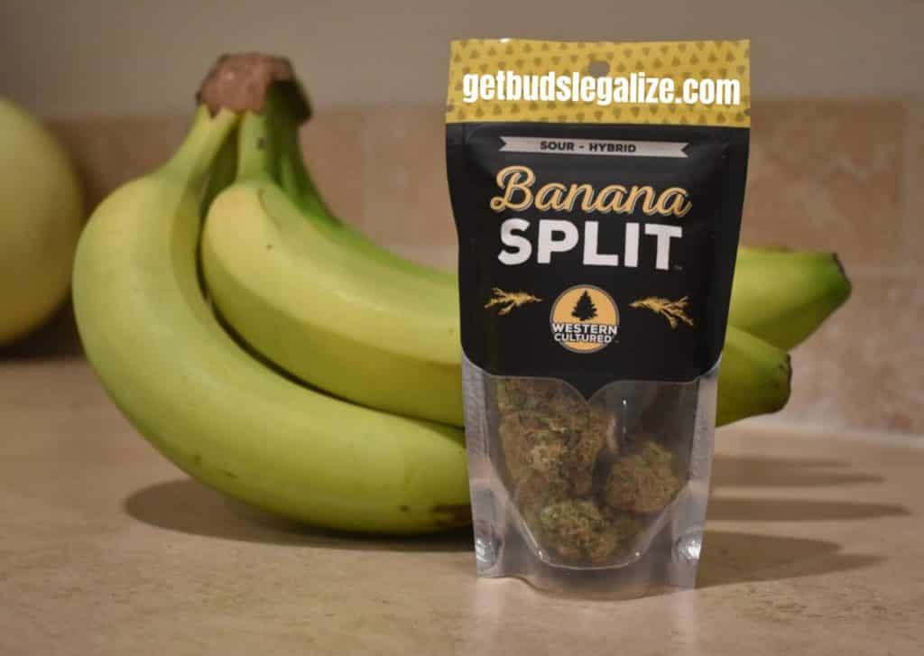 Banana Split strain review weed cannabis flower grow