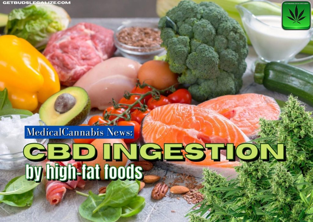 CBD ingestion by high-fat foods, cannabis, marijuana, weed, pot