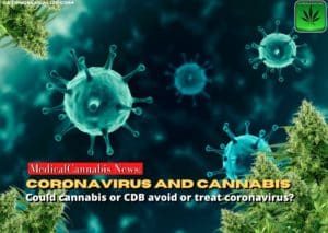 Could cannabis or CDB avoid or treat coronavirus?, covid 19, cannabis, marijuana, weed, pot