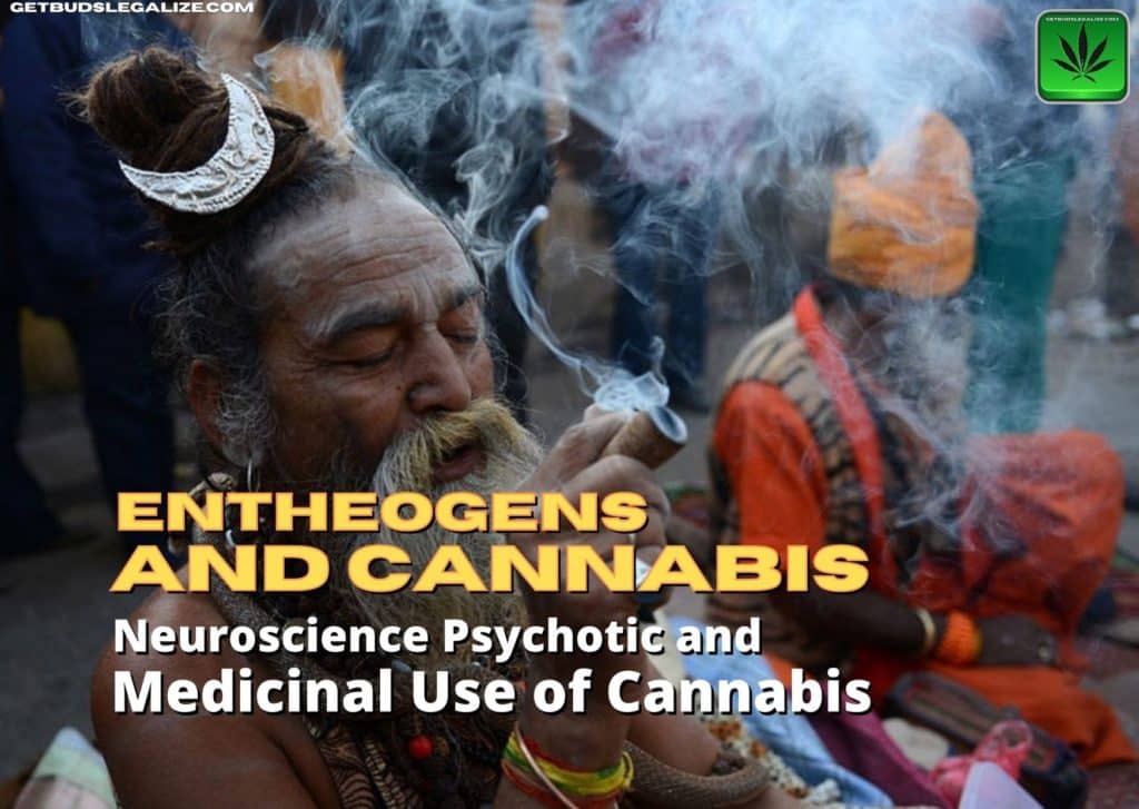 Entheogens and cannabis, medical, marijuana, weed, pot, shaman, religion
