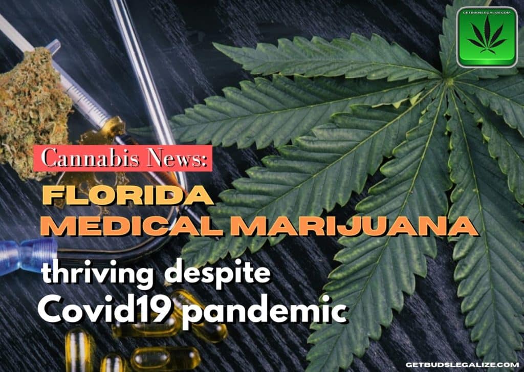Medical Marijuana in Florida thriving despite Covid19 pandemic, coronavirus, weed, cannabis, pot