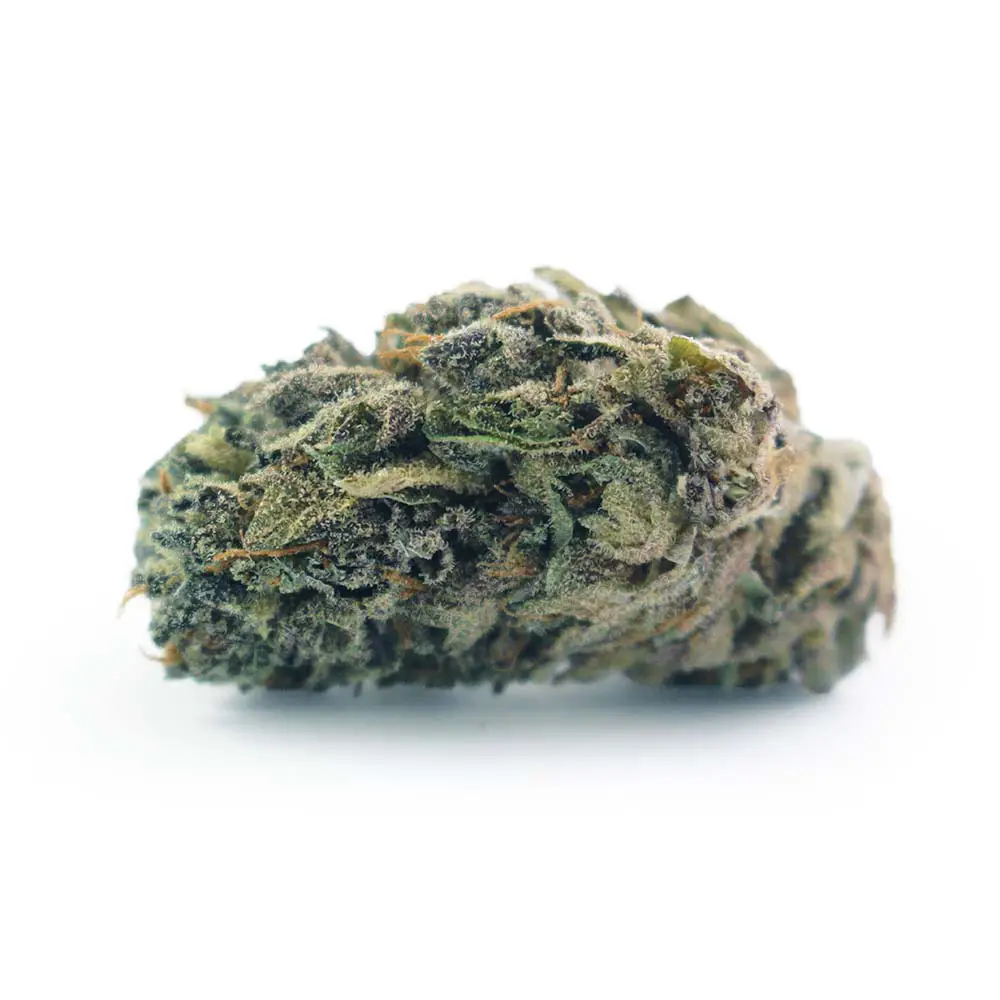 Grape Pie strain review cannabis seeds weed flower