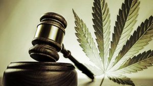 Facts V. Myths Of Cannabis Legalization - GetBudsLegalize.com