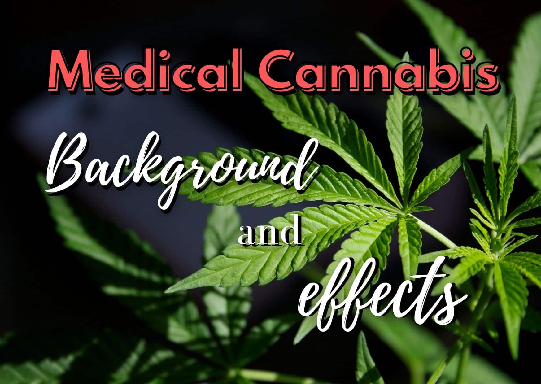 Medical Cannabis Background And Effects – GetBudsLegalize.com