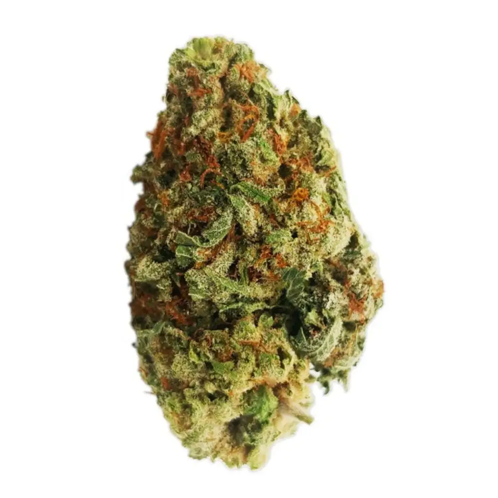 Jenny Kush strain marijuana review, cannabis, marijuana, weed, pot, plant