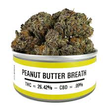 Peanut Butter Breath Strain Review & Growing Guide, MARIJUANA, WEED, CANNABIS SEEDS, DR.SEEDS. SEEDSMAN