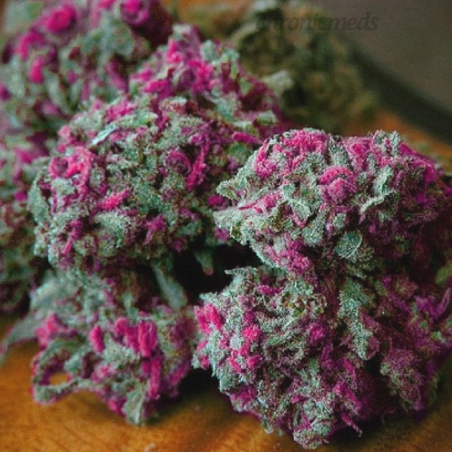 Pink Lemonade Kush strain review weed