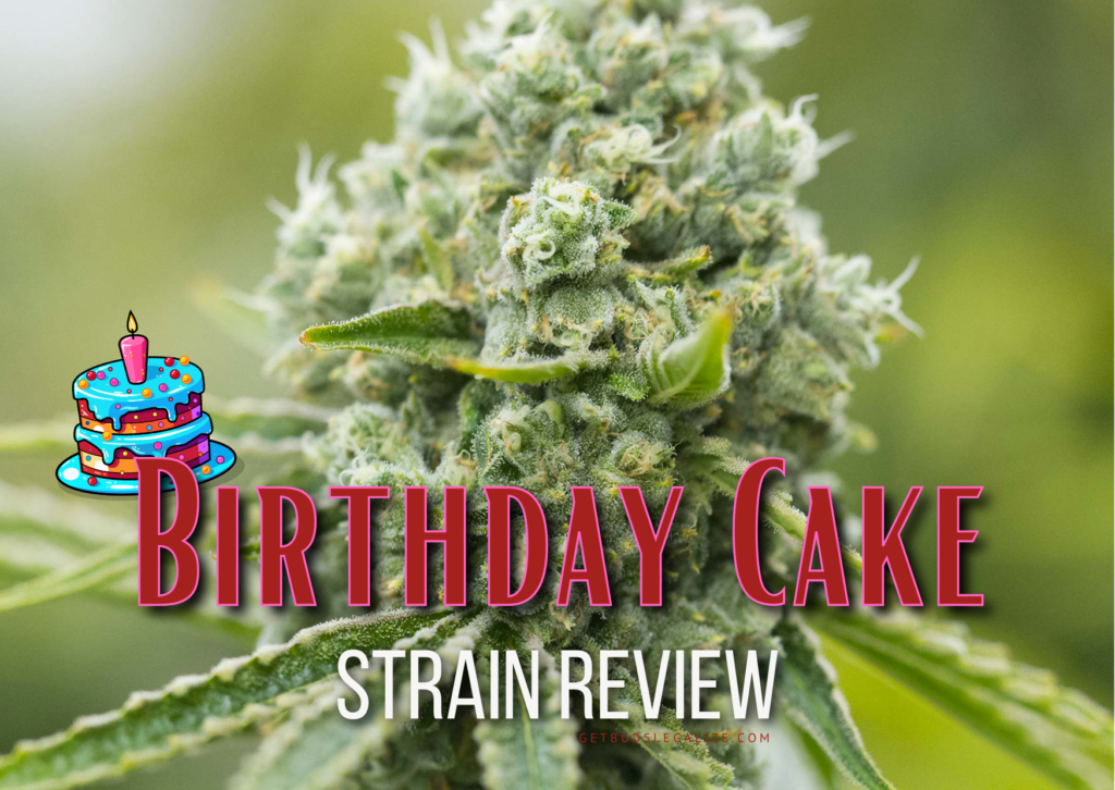Birthday Cake Strain Review & Growing Guide (Aka Birthday Cake Kush), MARIJUANA, WEED, CANNABIS SEEDS, DR.SEEDS