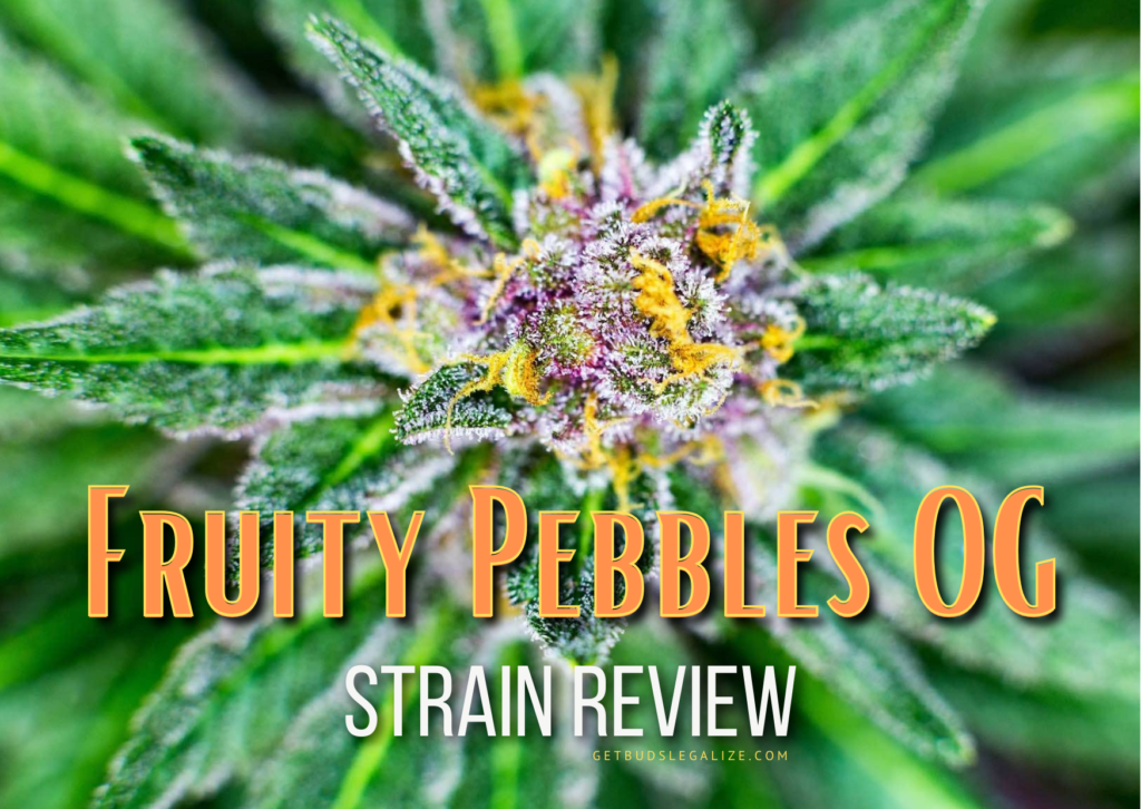 Fruity Pebbles Strain Review & Growing Guide (Aka FPOG, Fruity OG, Fruity Pebbles OG), marijuana, weed, cannabis seeds, Dr. Seeds, Herbies