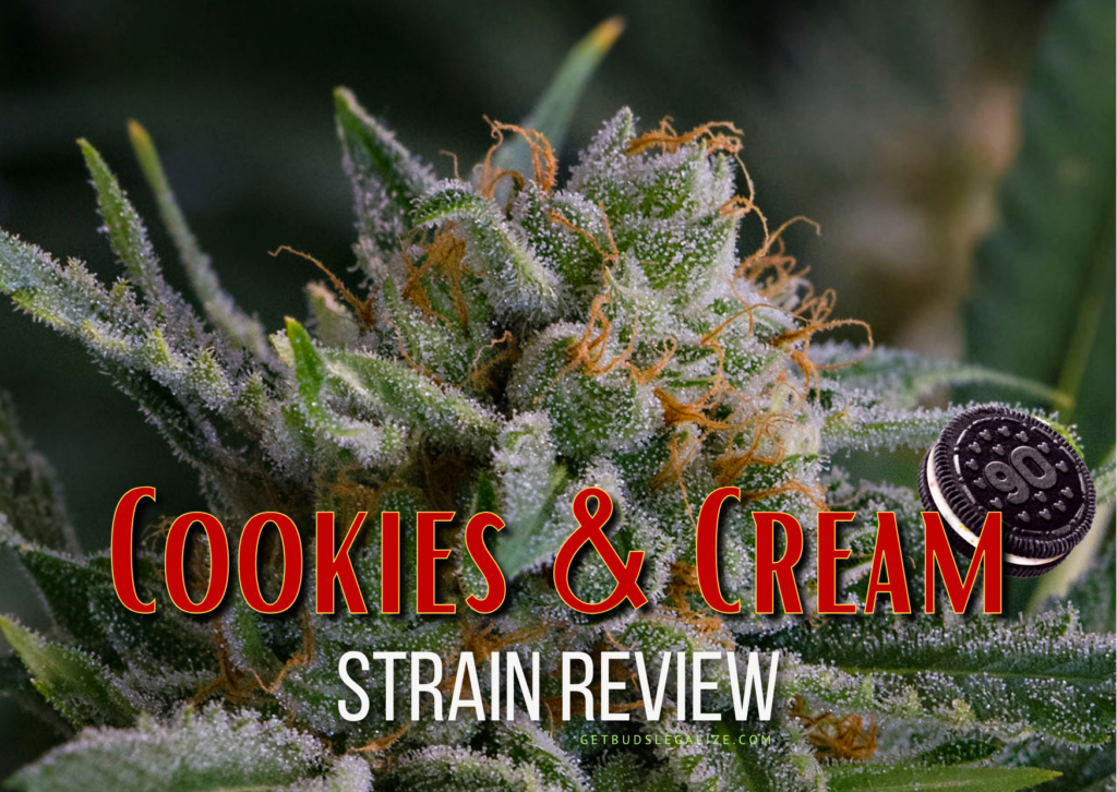 Cookies and Cream Strain Review & Growing Guide, marijuana, weed, cannabis seeds, ILGM, Exotic Genetix