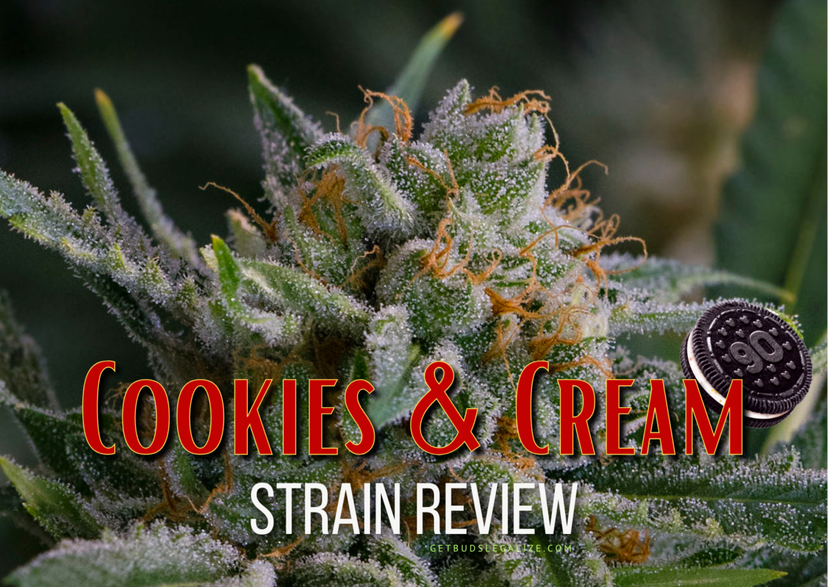 Cookies and Cream Strain Review & Growing Guide | All You Need to Know