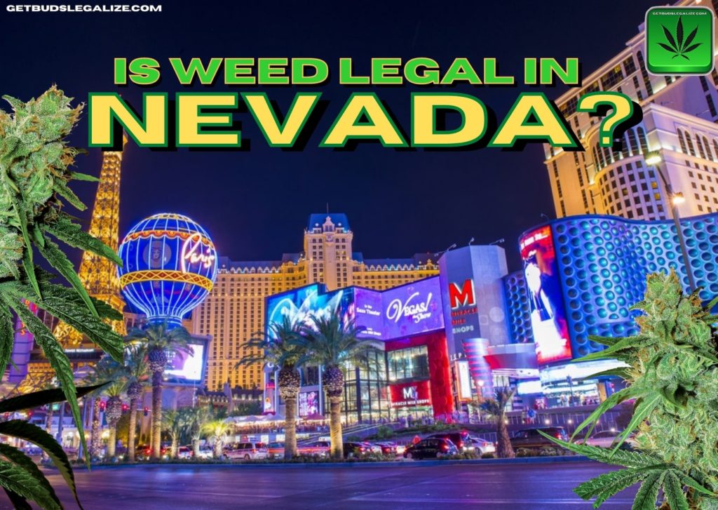 Is weed legal in Nevada? Let us find out, CANNABIS, MARIJUANA, WEED, POT, LAS VEGAS