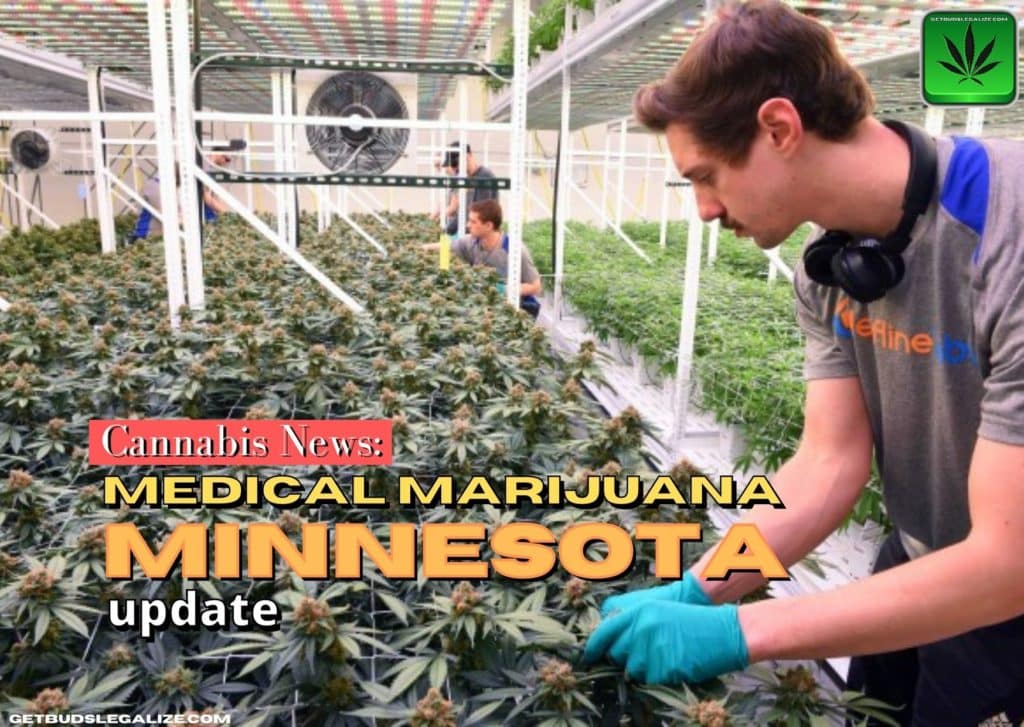 Medical marijuana Minnesota update, cannabis, weed, marijuana, pot, dispensary