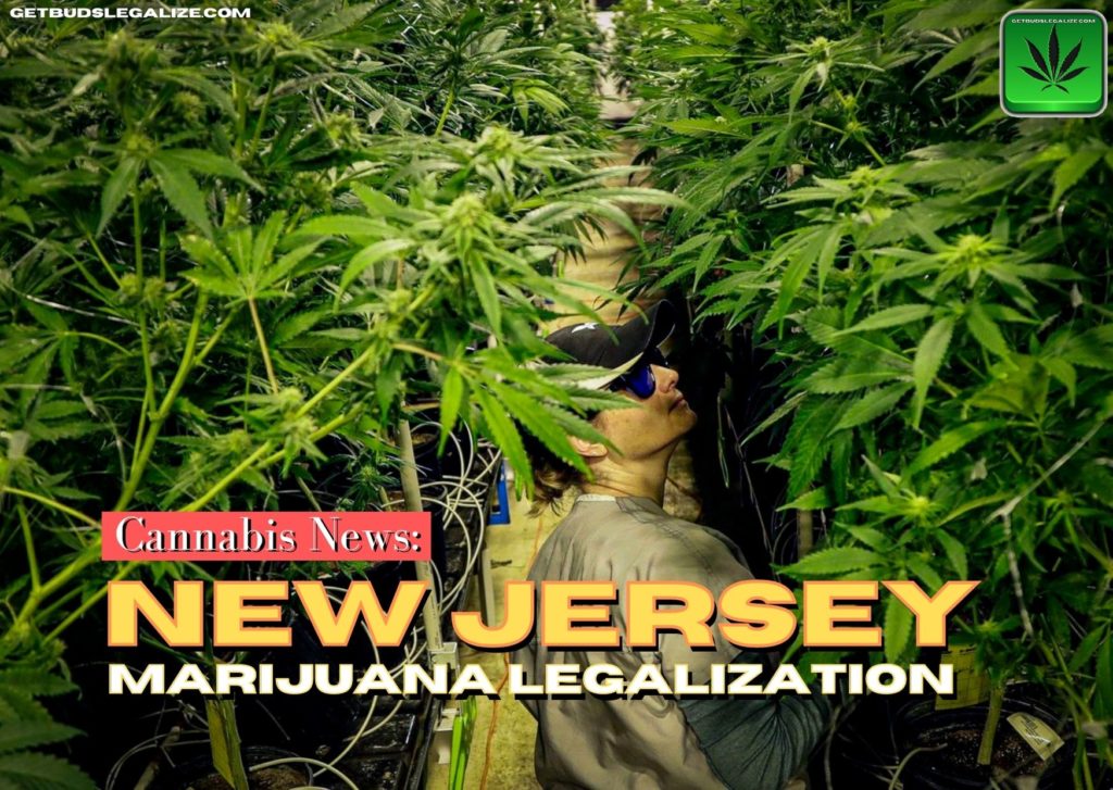 New Jersey marijuana legalization, NJ, cannabis, weed, pot, dispensary
