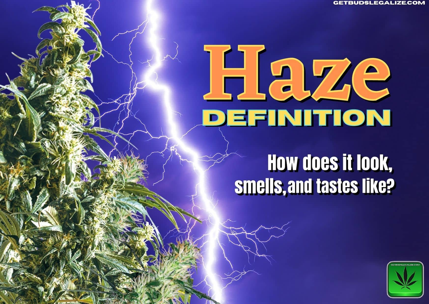 haze-definition-the-beginnings-getbudslegalize