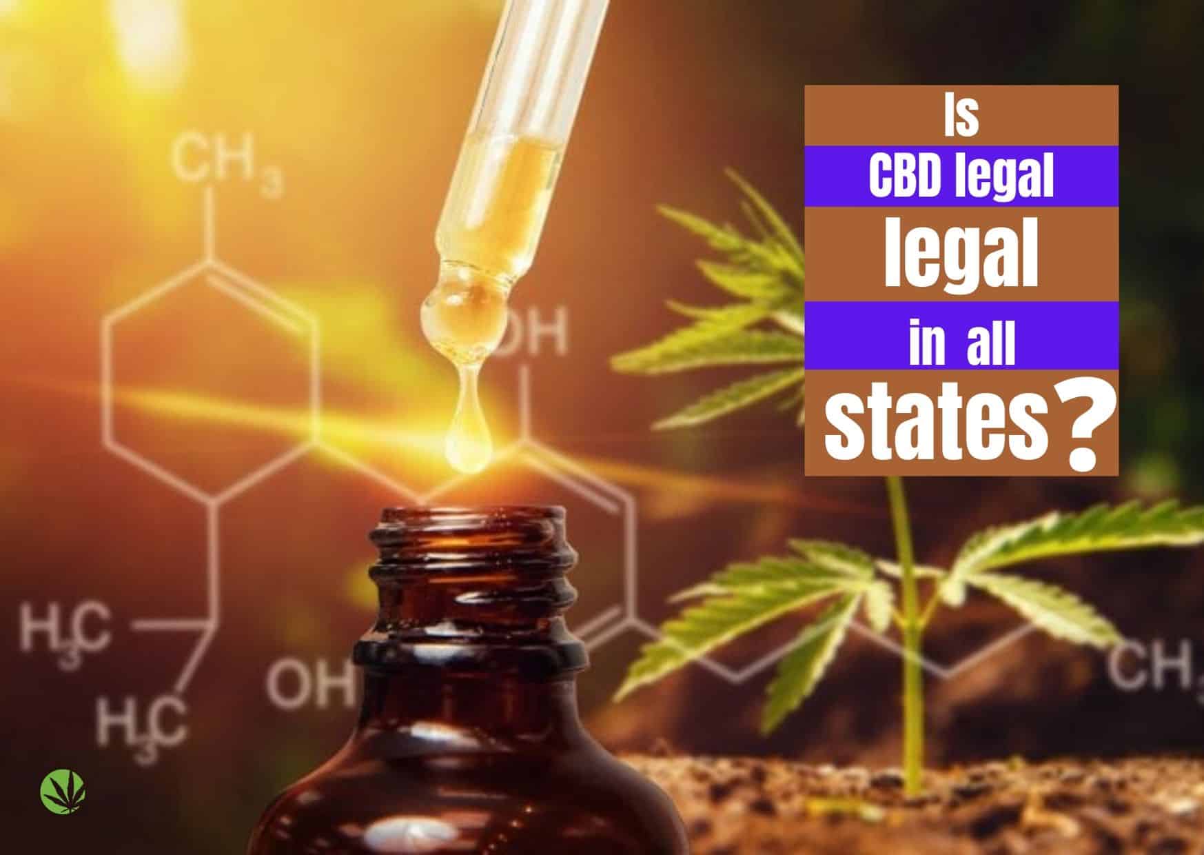 Is CBD Legal In All States? – GetBudsLegalize.com