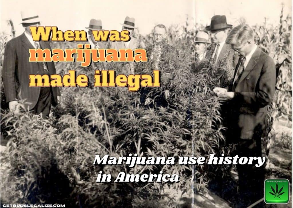 When was marijuana made illegal, history, cannabis, weed, pot, plant, america