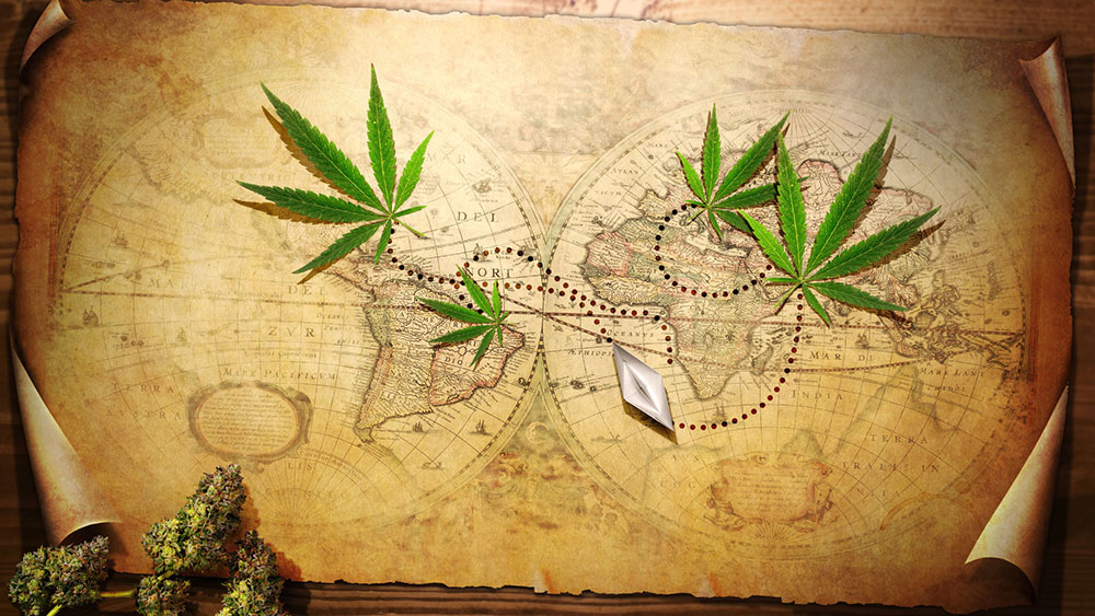 Weed strains history: understanding the context of cannabis, map world, marijuana, weed, pot, plant