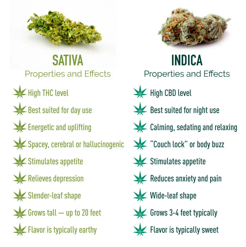 Sativa vs Indica Chart