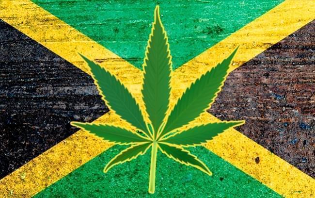 Capital de Jamaica "herb houses" coronavirus and cannabis