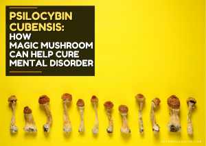 Psilocybin Cubensis: Effect on Mental Health, magik mushroom, cannabis, weed, pot, marijuana