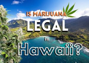 Is marijuana legal in Hawaii?, cannabis, weed, legalization