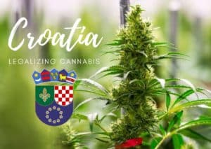 Is Croatia in the EU and legalizing cannabis?