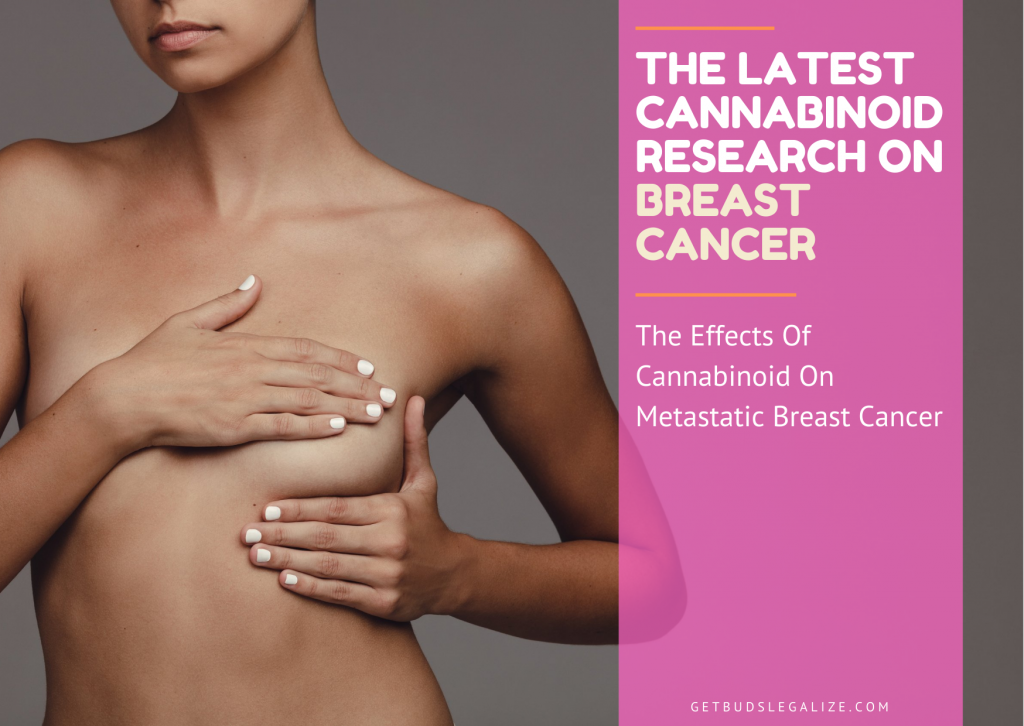 Breast Cancer and Cannabinoids: Latest research, treatment, medical cannabis, marijuana, weed, pot
