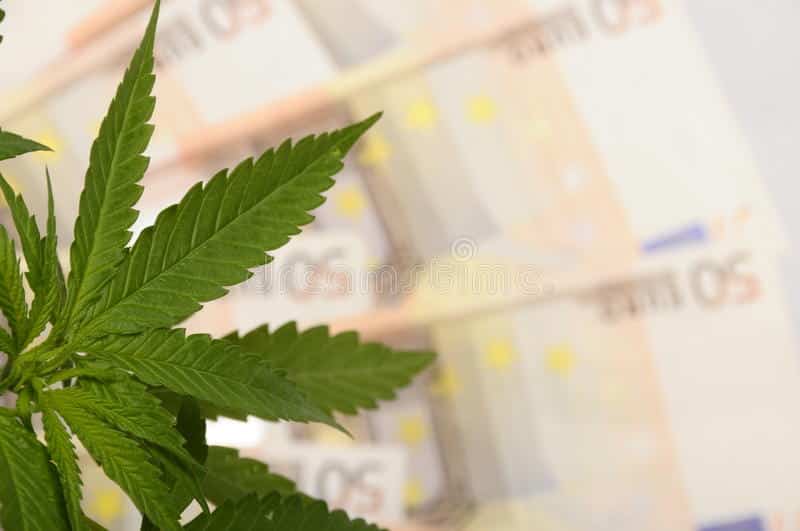 Legalization of Marijuana in Italy brings economic progression, euro money , italy tax