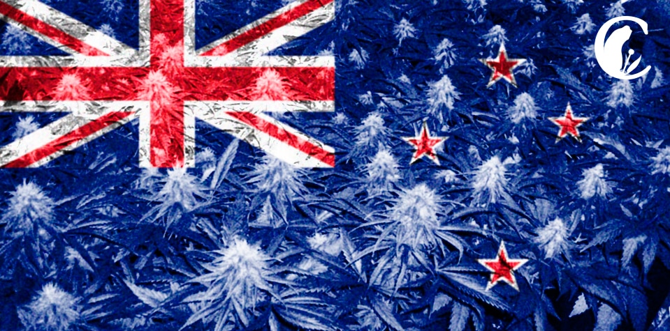 Time in New Zealand now to legalize cannabis