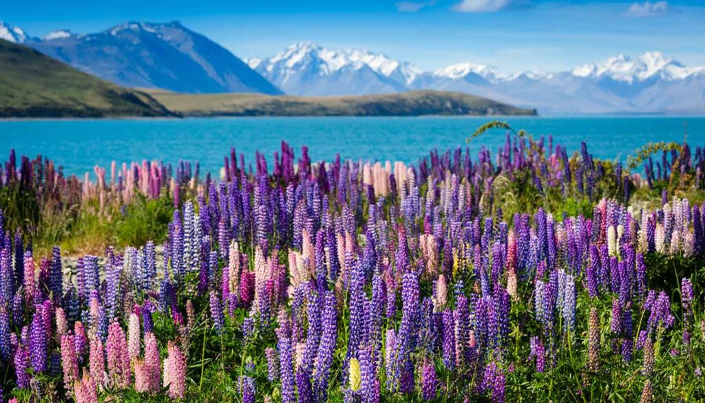 Time in New Zealand now to legalize cannabis