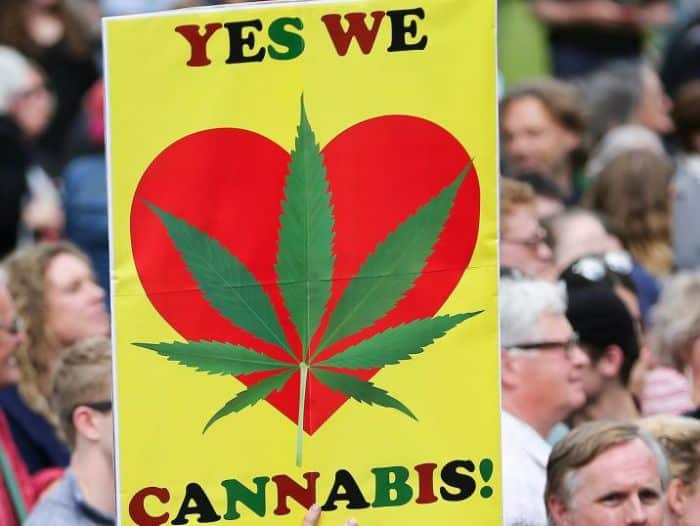 Time in New Zealand now to legalize cannabis, cannabis-leaf