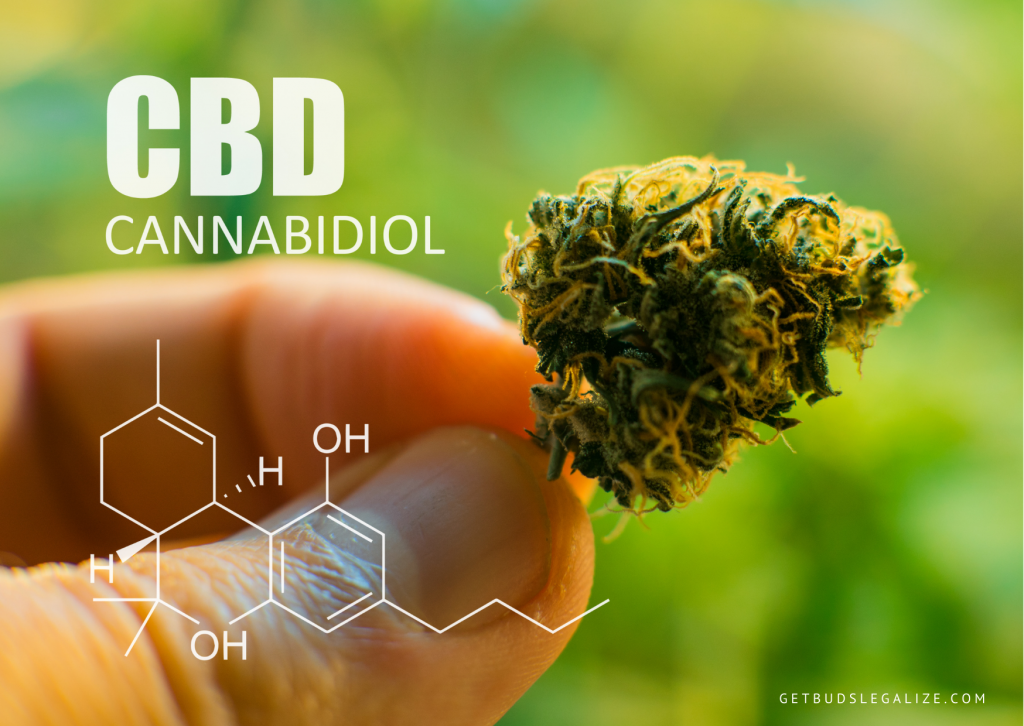 EDS disease with Cannabinoids and CBD, Ehlers-Danlos Syndrome, medical cannabis, marijuana, weed, pEDS disease with Cannabinoids and CBD, Ehlers-Danlos Syndrome, medical cannabis, marijuana, weed, pot