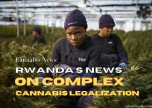 Rwanda's News on complex cannabis legalization, marijuana, weed, pot, plant, hemp