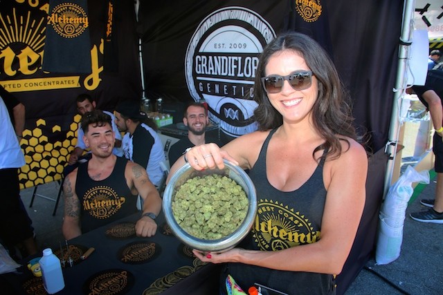 Cannabis Cup 2020 update, inception, and more!, CANNABIS FESTIVAL, WEED, POT, MARIJUANA