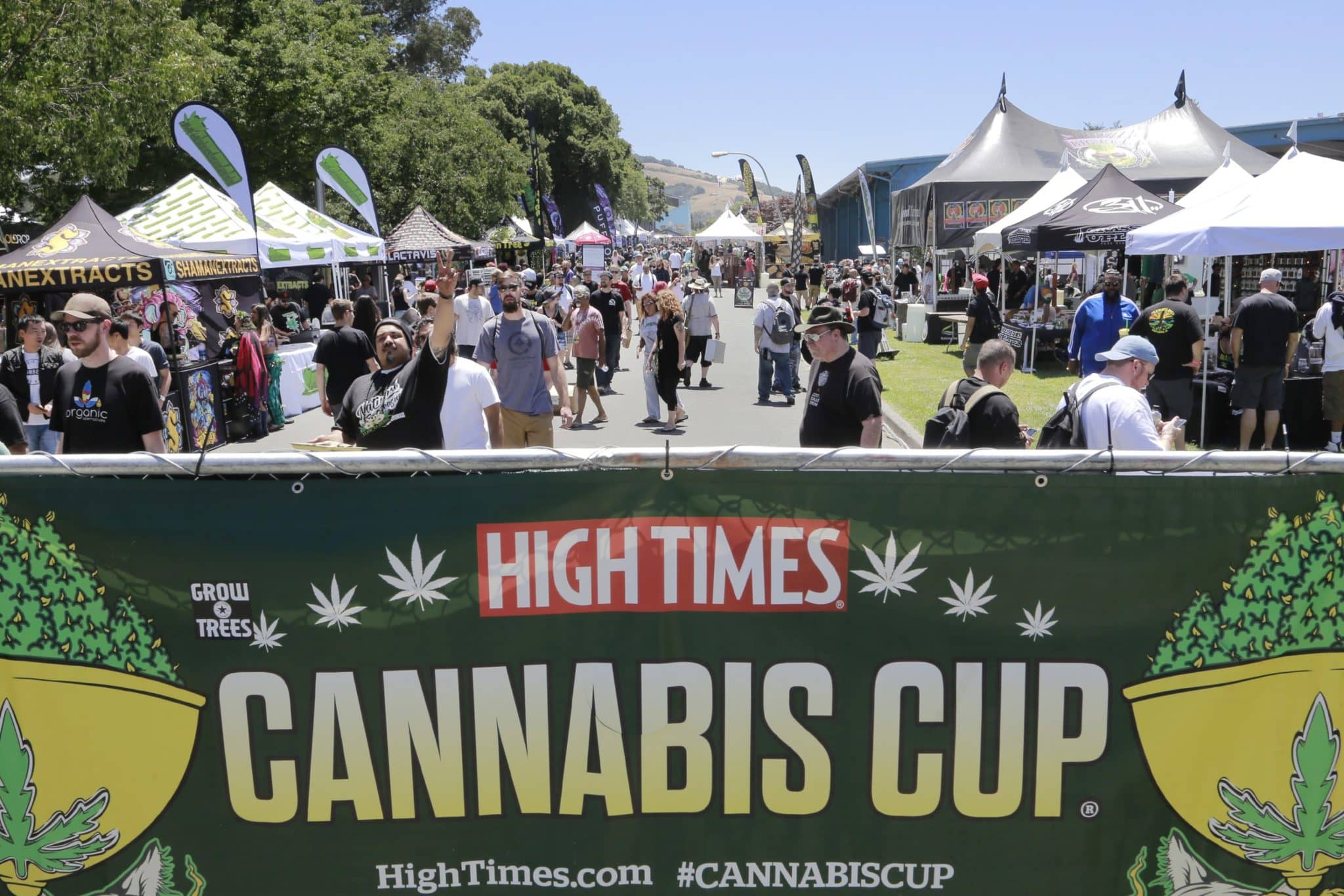 Cannabis Cup 2020 update, inception, and more!