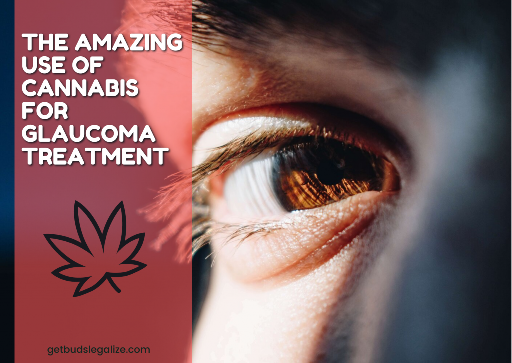 The Amazing Use of Cannabis For Glaucoma Treatment, medical cannabis, marijunana, weed, pot