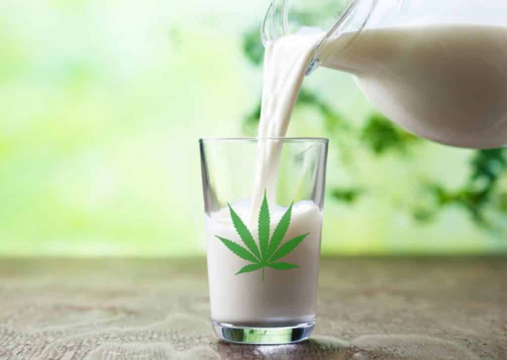Key ingredients for Cannabis recipes,weed marijuana pot, cooking, cannabutter, tincture, cannabis oil, weed mayo, cannabis flour,icannabis infused honey, cannabis cooking oil, cannabis milk