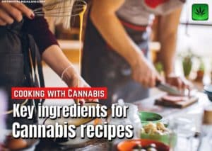 Key ingredients for Cannabis recipes,weed marijuana pot, cooking, cannabutter, tincture, cannabis oil, weed mayo, cannabis flour,icannabis infused honey, cannabis cooking oil, cannabis milk, vegan, coconut oil