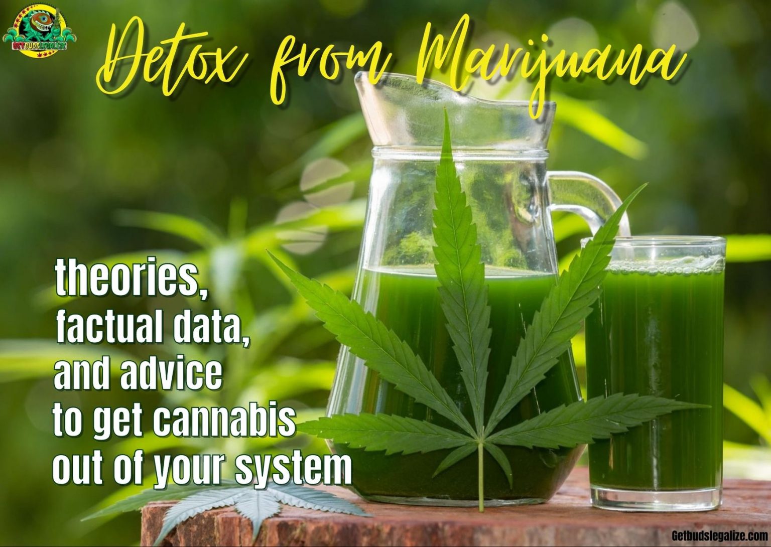 Detox from Marijuana, how to get cannabis out of your system