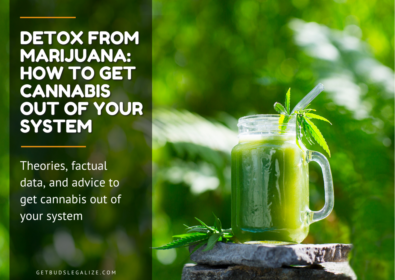 Detox from Marijuana How long Does It Take To Detox From Weed