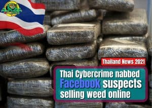 News Thailand 2021: Thai Cybercrime nabbed Facebook suspects selling weed online, cannabis, marijuana, pot, plant , low