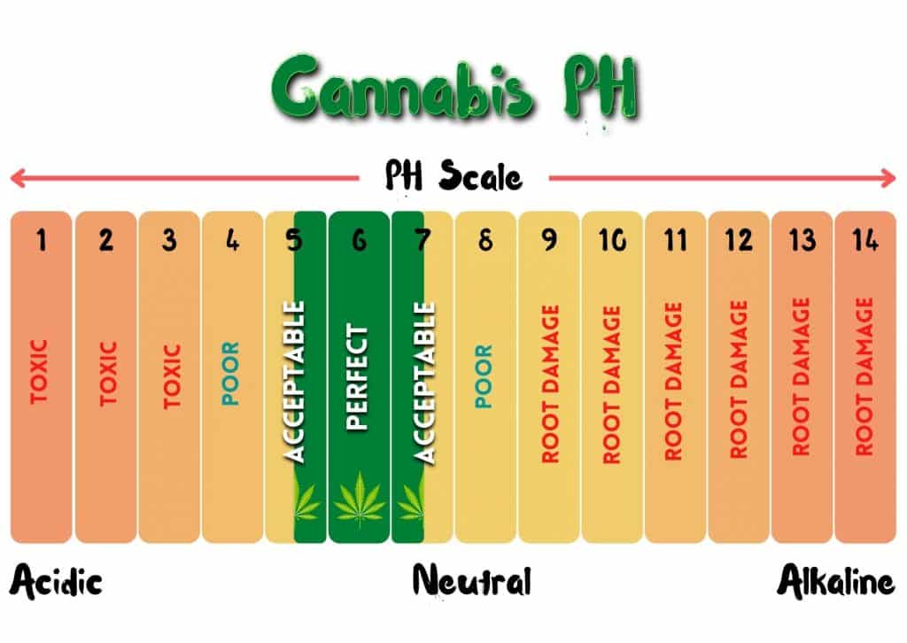 pH Levels Of Cannabis, cannabis nutrients, mobile, immobile, macronutrient, micronutrients, deficiency, marijuana, weed, pot, plant, flower