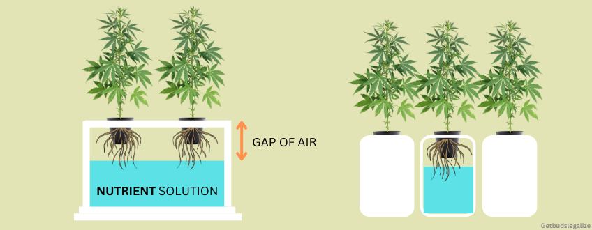 The Kratky Method, Ultimate Guide to GROWING Hydroponic Cannabis : Growing Tips & Techniques, WEED, MARIJUANA