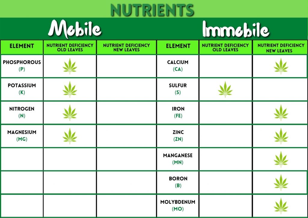 cannabis nutrients, mobile, immobile, macronutrient, micronutrients, deficiency, marijuana, weed, pot, plant, flower
